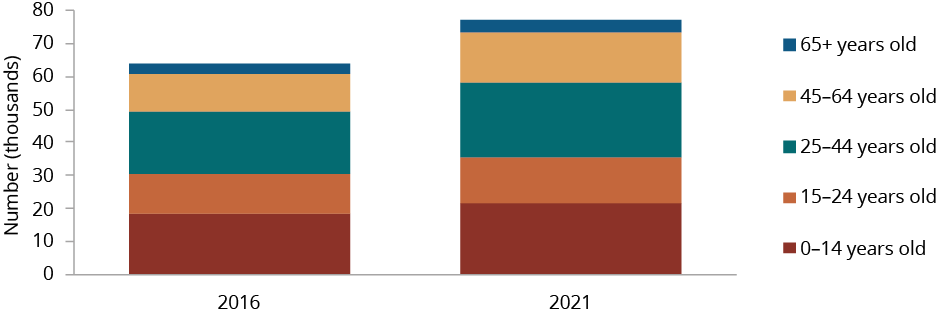 Figure C.42 shows the number of Aboriginal and Torres Strait Islander people who used an Aboriginal or Torres Strait Islander language at home by year, by age group. More details can be found within the text near this image.